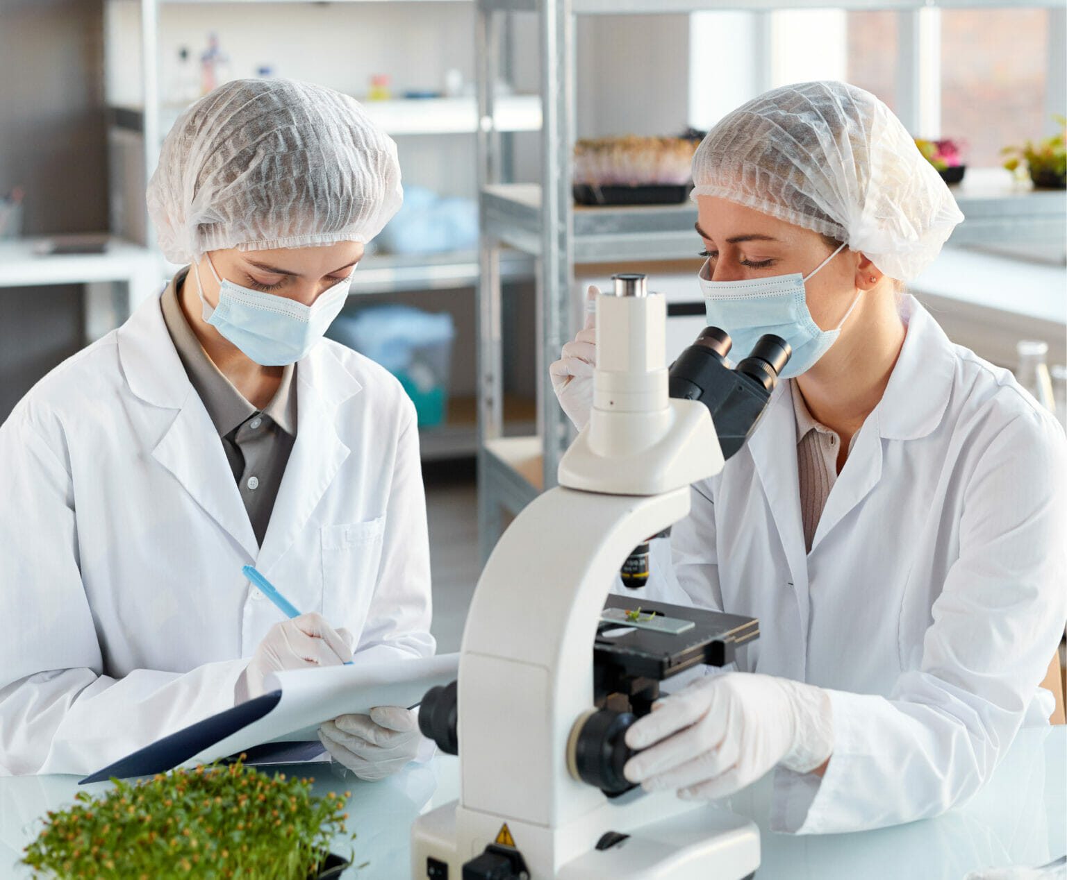 Life Sciences Construction Project Management Software Kahua